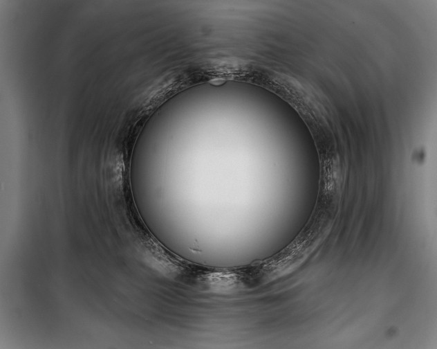 X0000101200279200806271358