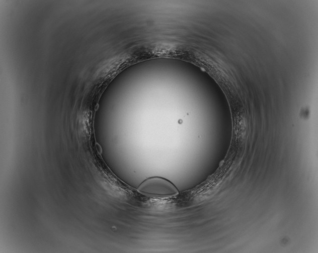 X0000101200280200806271358