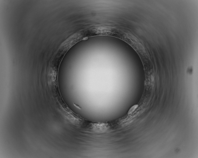 X0000101200281200806271358
