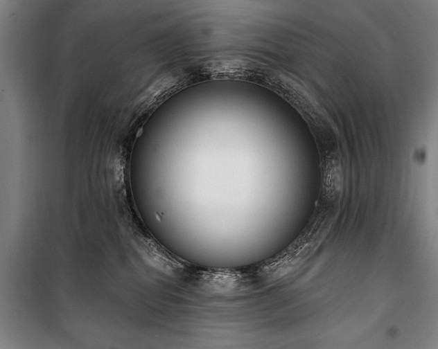 X0000101200282200806271358
