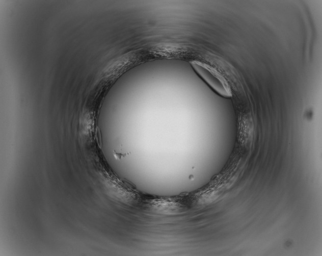 X0000101200284200806271358
