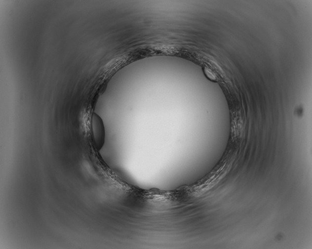 X0000101200285200806271358