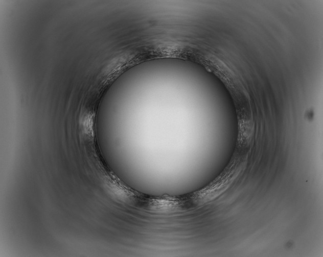 X0000101200286200806271358