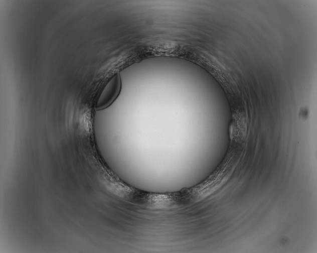 X0000101200287200806271358