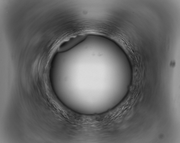 X0000101200289200806271357