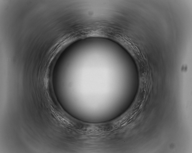 X0000101200290200806271357