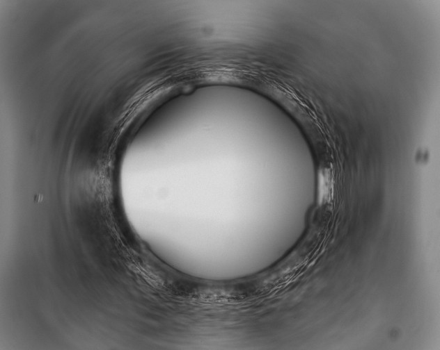X0000101200291200806271357