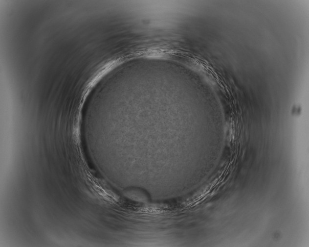 X0000101200292200806271357