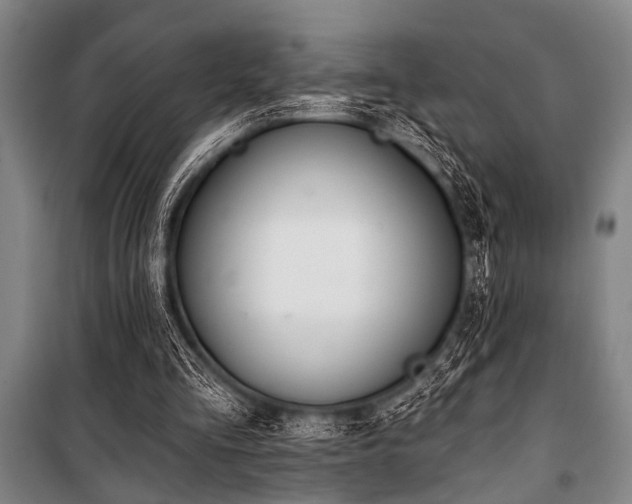 X0000101200293200806271357