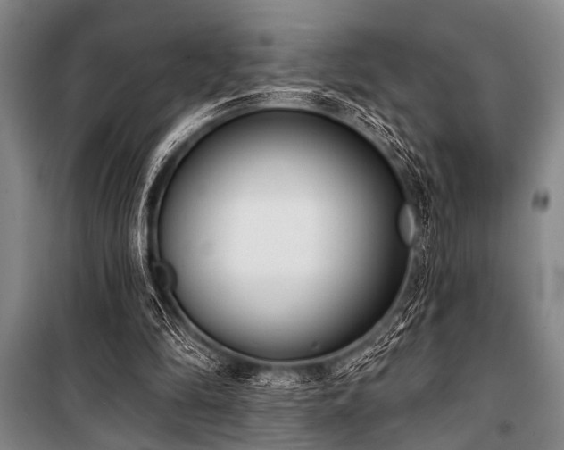 X0000101200294200806271357