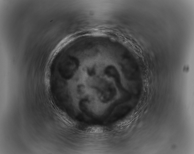 X0000101200295200806271357