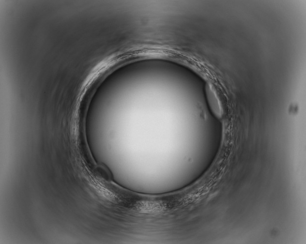 X0000101200296200806271357
