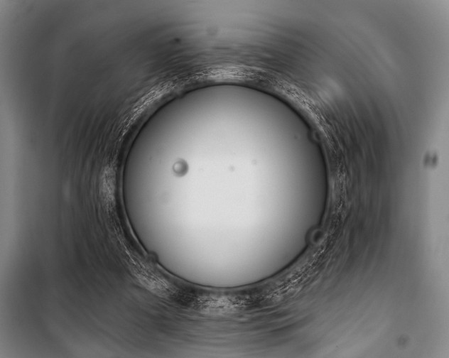 X0000101200297200806271357