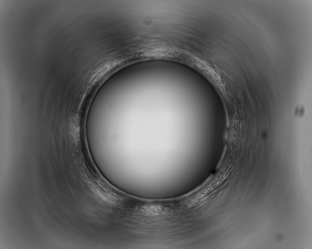 X0000101200298200806271357