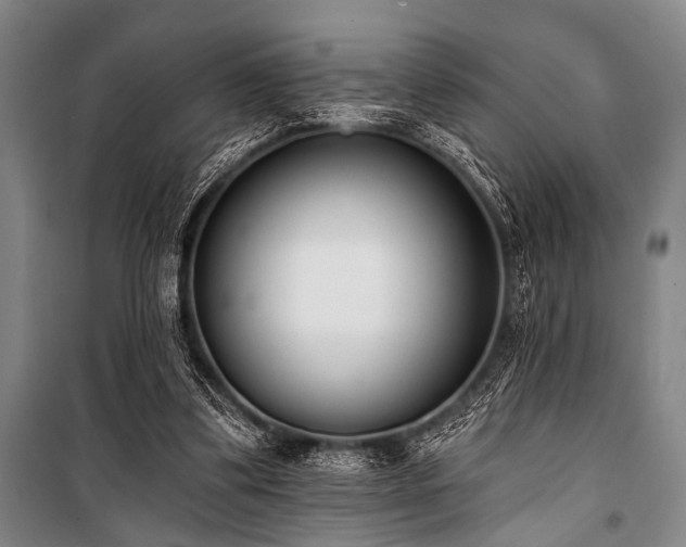 X0000101200299200806271357