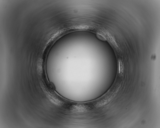 X0000101200300200806271357