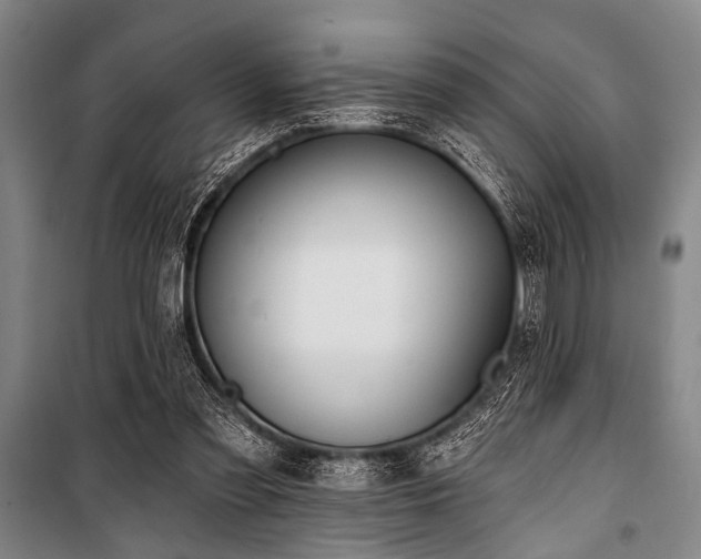 X0000101200301200806271357