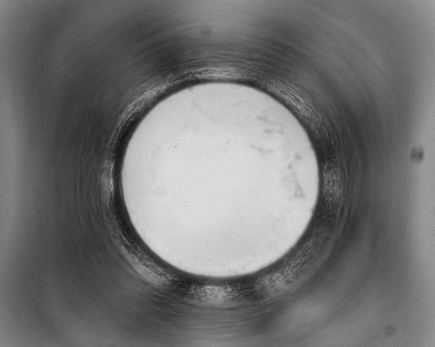 X0000101200302200806271357