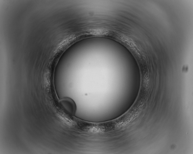 X0000101200303200806271357