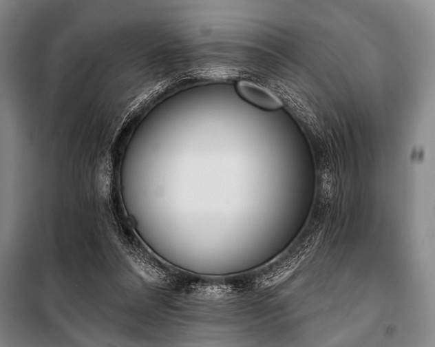 X0000101200304200806271357