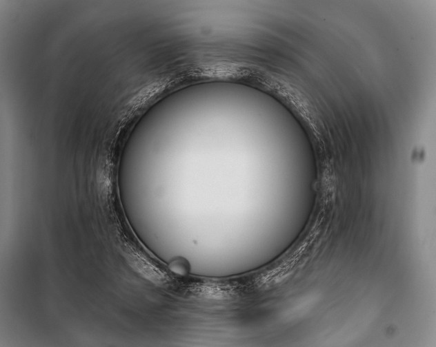 X0000101200305200806271357