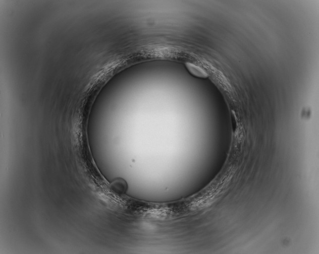 X0000101200306200806271357