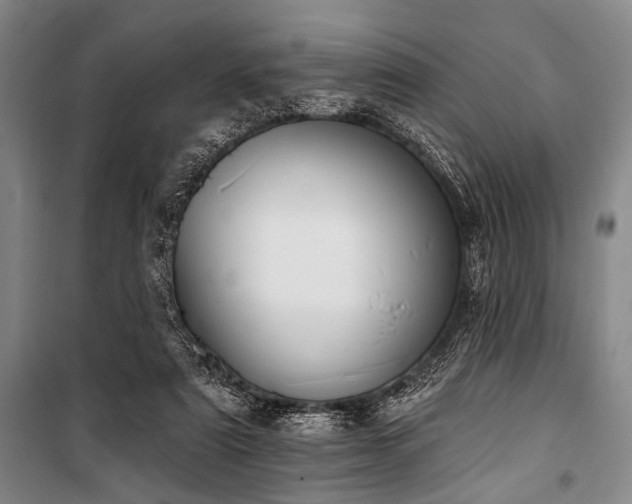 X0000101200307200806271357