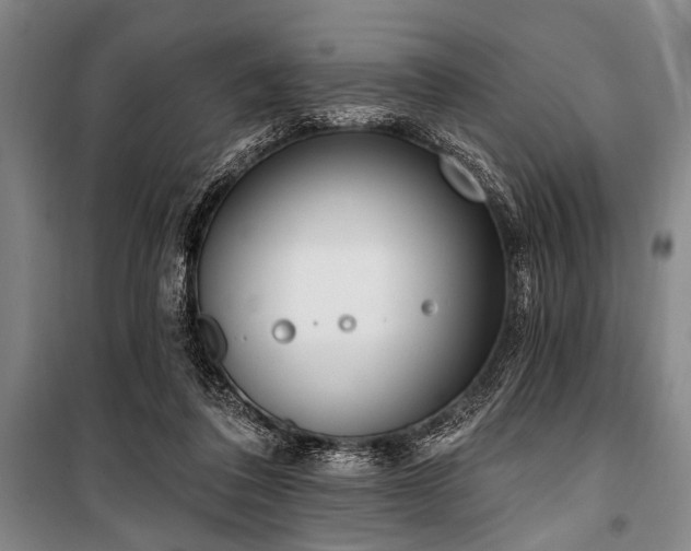 X0000101200308200806271357