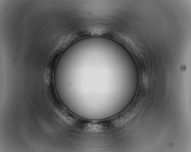 X0000101200311200806271357
