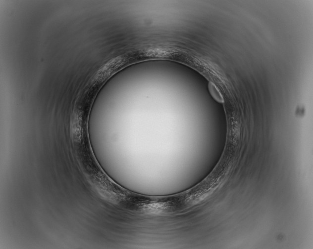 X0000101200312200806271357