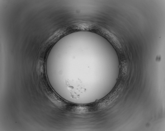 X0000101200313200806271357