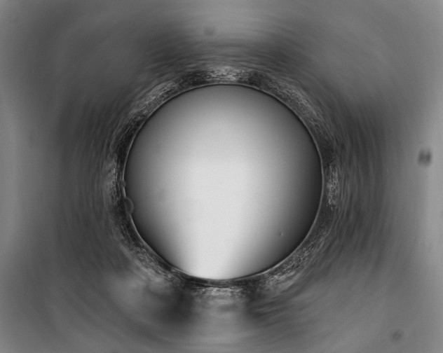 X0000101200314200806271357