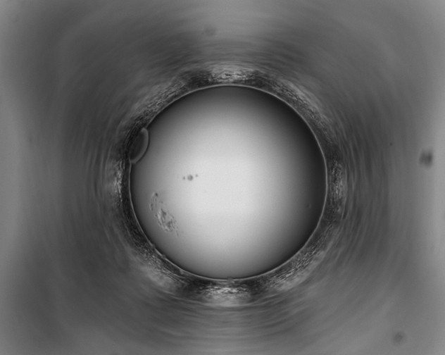 X0000101200315200806271357