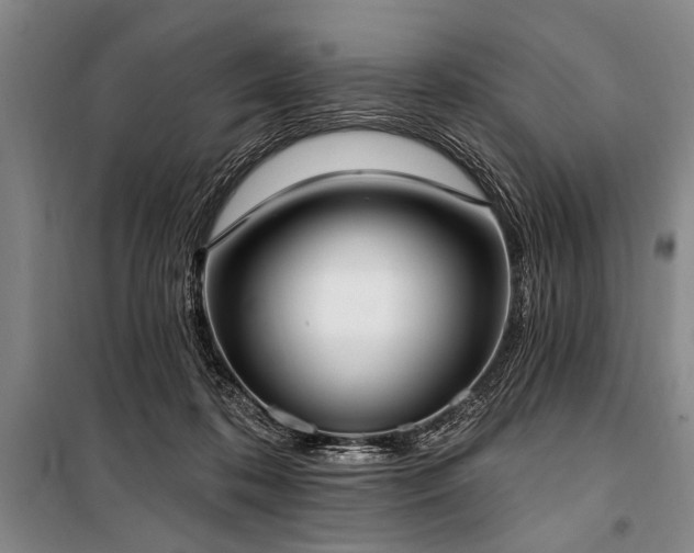 X0000101200316200806271357