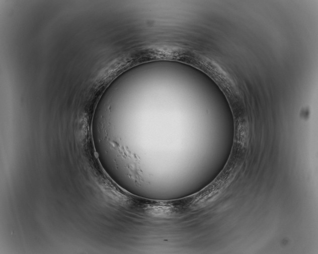 X0000101200318200806271357