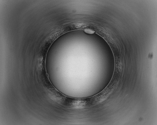 X0000101200319200806271357