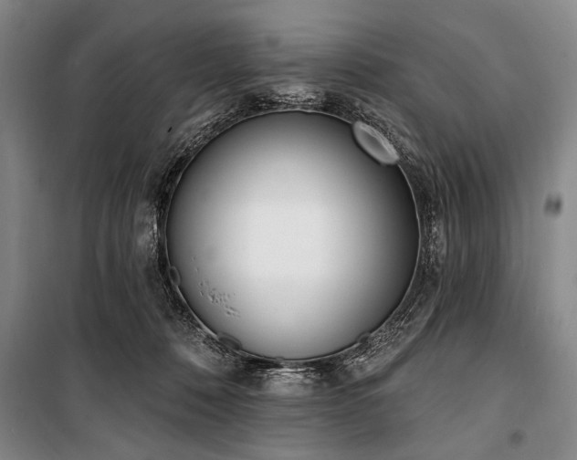 X0000101200320200806271357