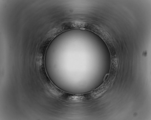 X0000101200323200806271357