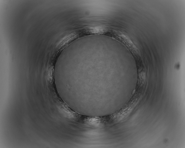 X0000101200325200806271357
