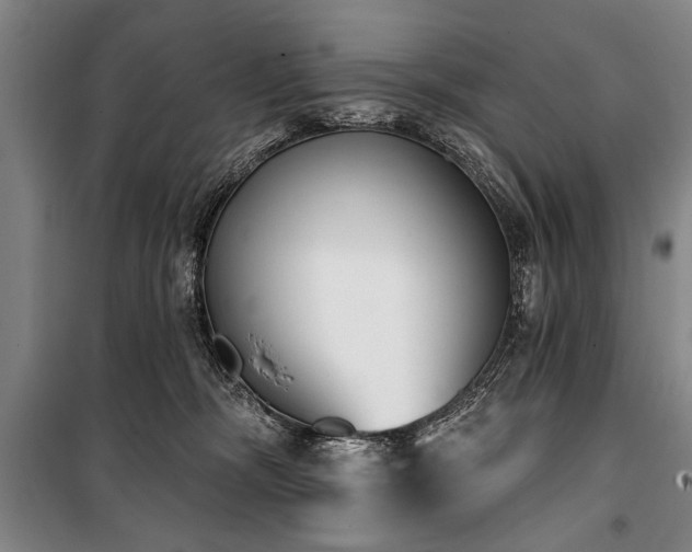 X0000101200326200806271357