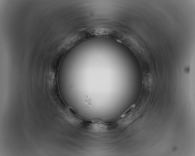 X0000101200327200806271357