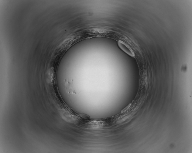 X0000101200328200806271357