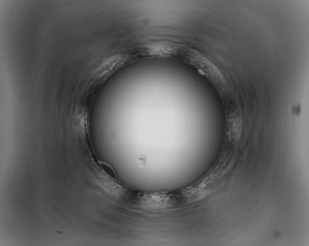 X0000101200329200806271357