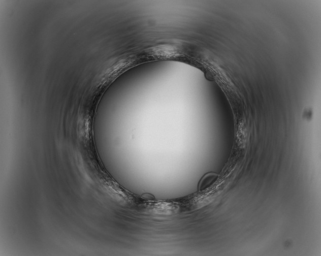 X0000101200330200806271357