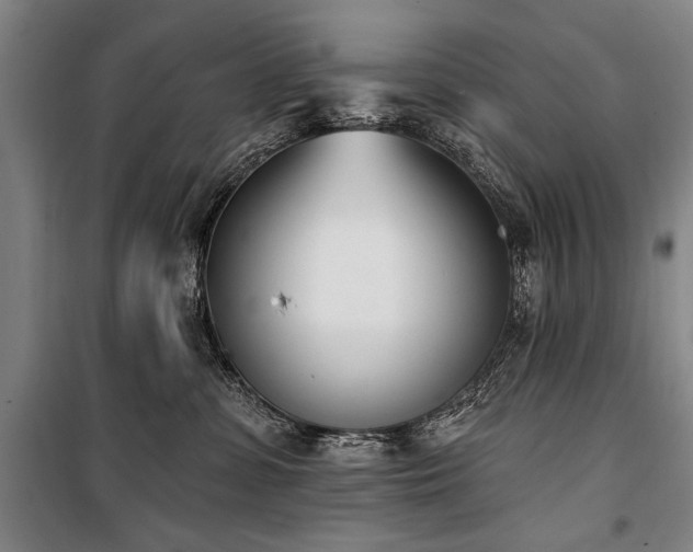 X0000101200331200806271357