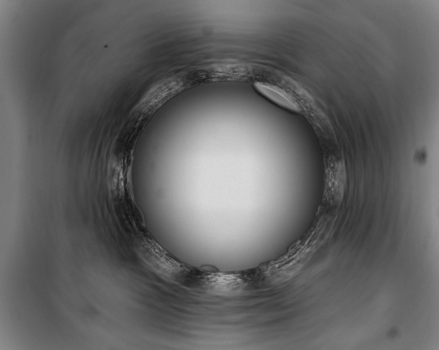 X0000101200333200806271357