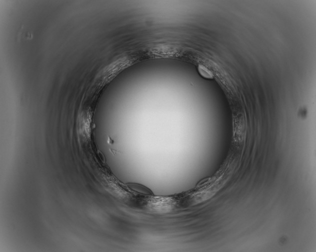 X0000101200334200806271357