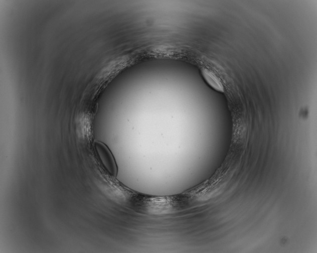 X0000101200335200806271357
