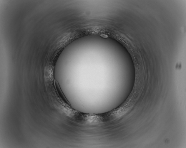 X0000101200336200806271357