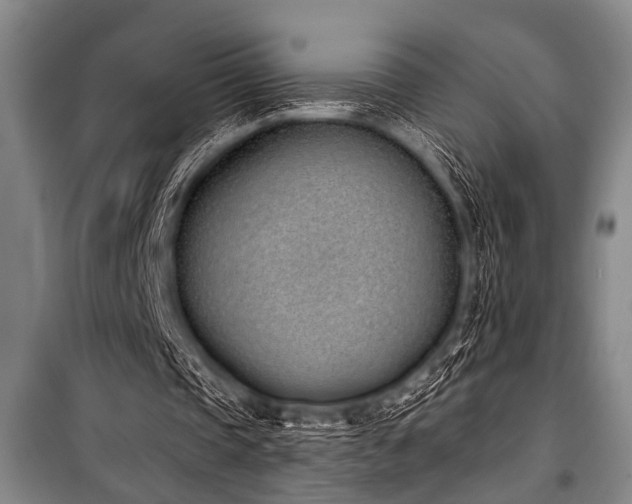 X0000101200337200806271356